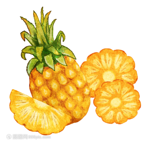 手绘菠萝 水果还是蔬菜的艺术探索