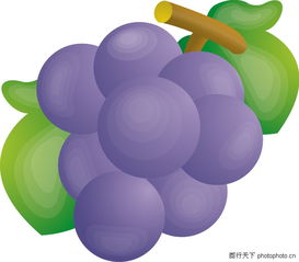 水果图鉴 从果树到餐桌的缤纷世界