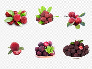 创意无限 卡通实物杨梅水果店海报PNG素材模板全攻略