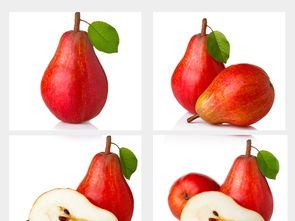 水果集合大全 从高清图片到设计模板的完整指南